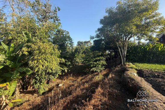 Image 3 from Streetfront Land for Sale in Canggu Residential Side