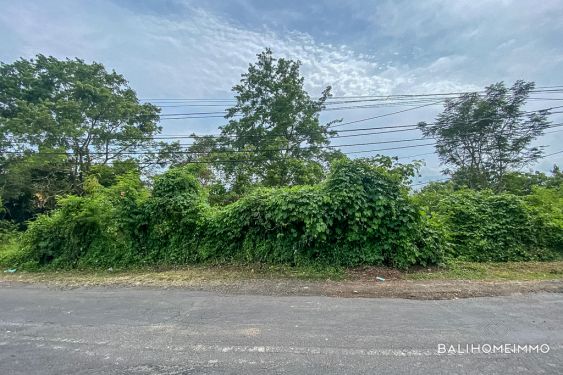 Image 3 from Streetfront Land for Sale Leasehold in Bali Pererenan