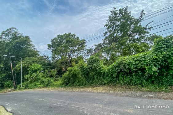 Image 2 from Streetfront Land for Sale Leasehold in Bali Pererenan