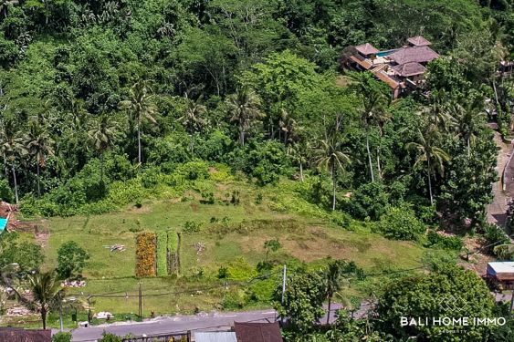 Image 3 from Tanah di Tepi Jalan Disewakan Jangka Panjang di Ubud Bali