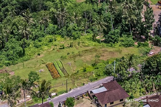 Image 2 from Streetfront Land for Sale Leasehold in Bali Ubud