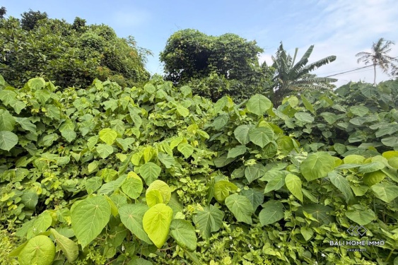 Image 2 from Terrain en bord de rue à vendre à bail près du lot Pantai Nyanyi Tanah