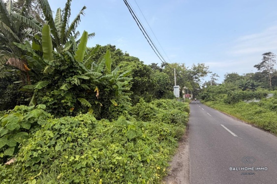 Image 4 from Terrain en bord de rue à vendre à bail près du lot Pantai Nyanyi Tanah