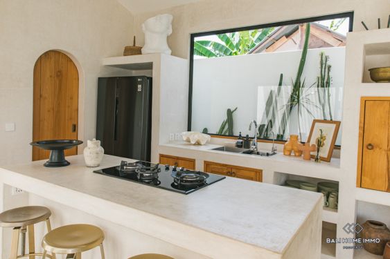 Image 12 from Superbe villa de 2 chambres à louer à Bali Canggu Babakan