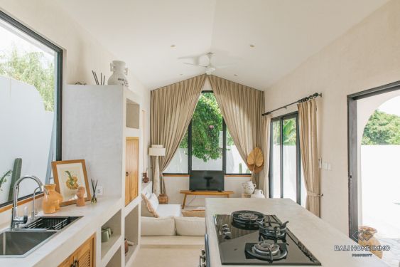 Image 14 from Superbe villa de 2 chambres à louer à Bali Canggu Babakan