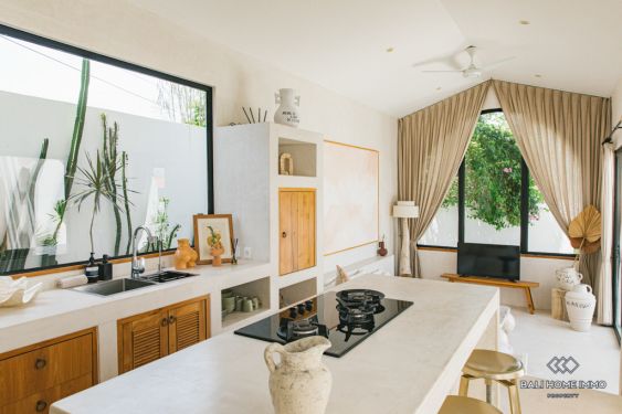 Image 13 from Superbe villa de 2 chambres à louer à Bali Canggu Babakan