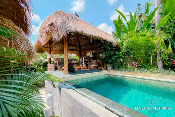 Image 8 from VILLA MENAKJUBKAN 3 KAMAR DISEWA BULANAN DI BALI PERERENAN