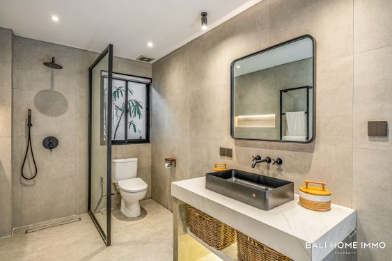 Image 19 from Stunning 3 Bedroom Villa for Sale Leasehold and Rent in Bali Canggu Berawa