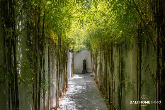 Image 19 from Vila 3 Kamar yang Menakjubkan untuk Dijual di Umalas Bali