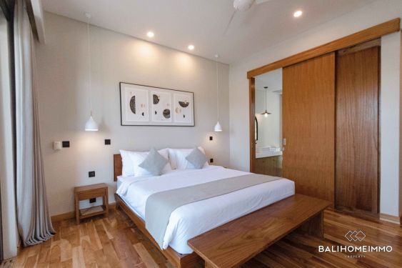 Image 17 from Stunning 4 Bedroom Villa for Sale Leasehold in Bali Canggu Batu Bolong