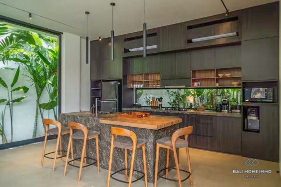 Image 11 from Stunning 4 bedrooms brand new villa for sale leasehold in Bali - Umalas