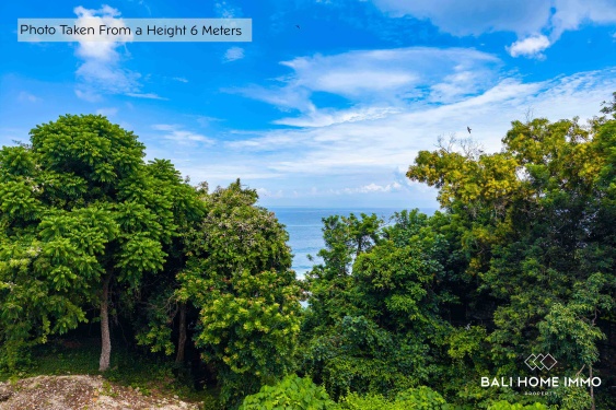 Image 6 from Stunning Cliff Front Land for Sale Leasehold in  Uluwatu