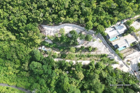 Image 7 from Stunning Ocean and Jungle View Land near Padang Padang - Uluwatu
