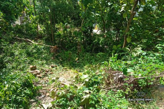 Image 3 from Stunning Ocean View Land for Sale Leasehold in Prime Area Bingin