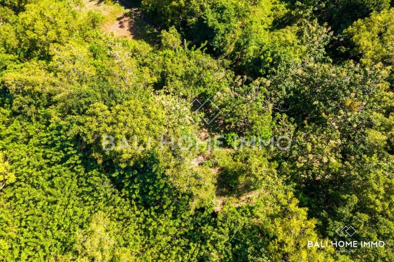 Image 3 from Stunning Panoramic Ocean View Land for Sale Freehold & Leasehold in Nyang Nyang