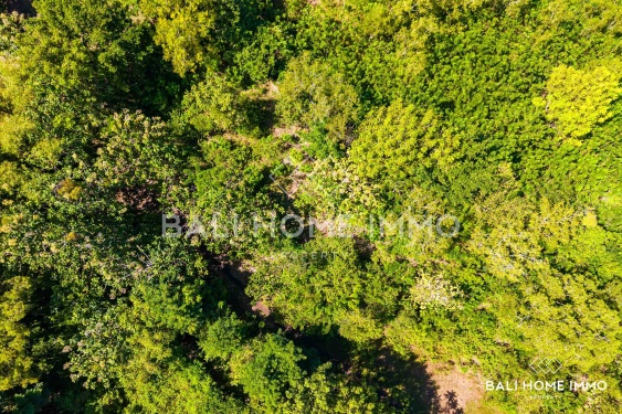 Image 2 from Stunning Panoramic Ocean View Land for Sale Freehold & Leasehold in Nyang Nyang