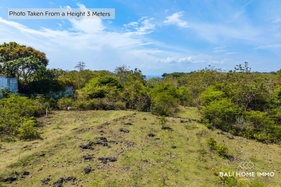 Image 6 from Superbe terrain touristique à vendre à Balangan avec vue sur l'océan et sérénité naturelle