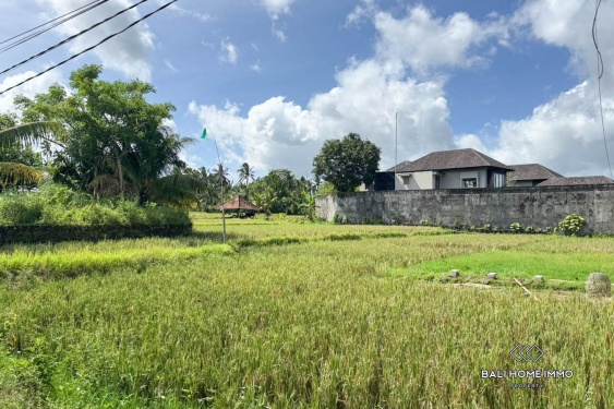 Image 2 from TOURISM ZONE 3500m2 LAND FOR SALE IN UBUD BALI