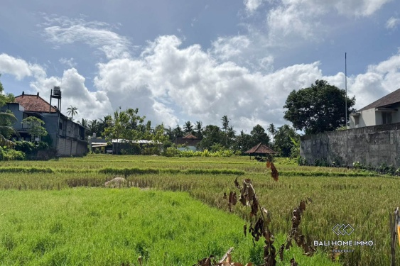 Image 5 from TOURISM ZONE 3500m2 LAND FOR SALE IN UBUD BALI