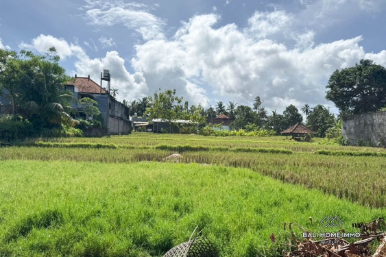 Image 4 from TOURISM ZONE 3500m2 LAND FOR SALE IN UBUD BALI
