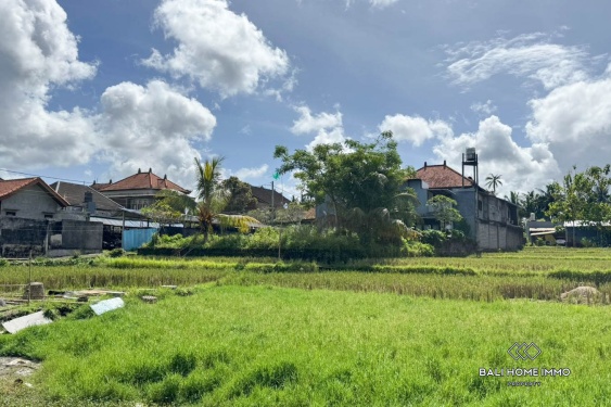Image 6 from TOURISM ZONE 3500m2 LAND FOR SALE IN UBUD BALI