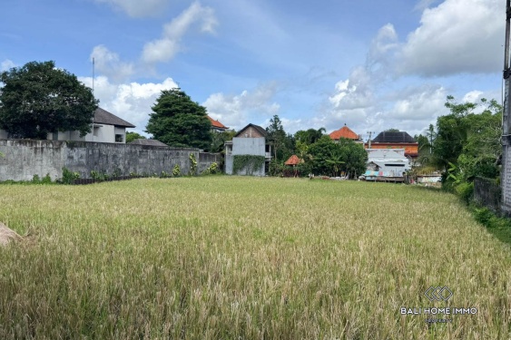 Image 3 from TOURISM ZONE 3500m2 LAND FOR SALE IN UBUD BALI