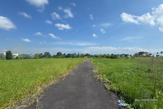 Image 2 from Touristic zone land for sale freehold walking distance from Kedungu Beach Bali