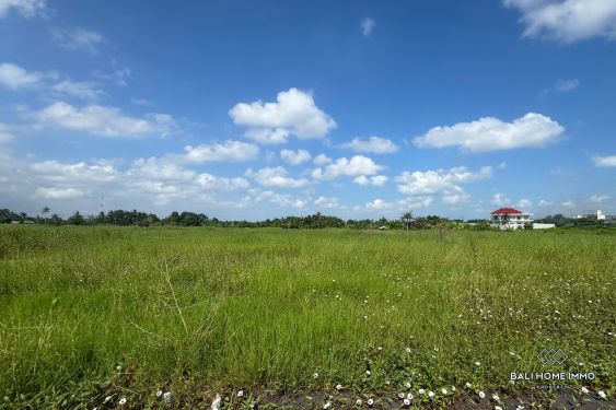 Image 3 from Touristic zone land for sale freehold walking distance from Kedungu Beach Bali