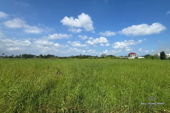 Image 2 from Touristic zone land for sale freehold walking distance from Kedungu Beach Bali