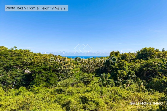 Image 4 from Terrain touristique à vendre en pleine propriété avec vue sur l'océan à Pandawa