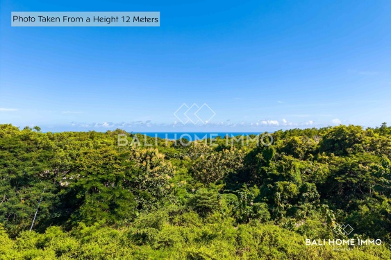 Image 5 from Terrain touristique à vendre en pleine propriété avec vue sur l'océan à Pandawa