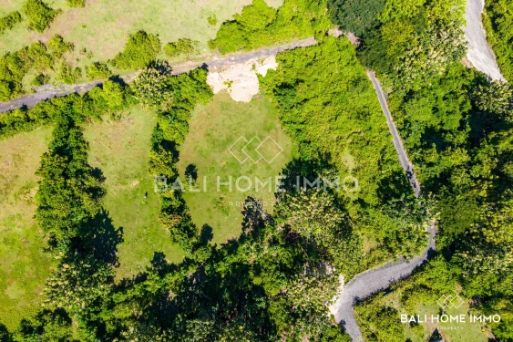 Image 3 from Terrain touristique à vendre en pleine propriété avec vue sur l'océan à Pandawa