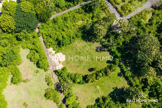 Image 2 from Terrain touristique à vendre en pleine propriété avec vue sur l'océan à Pandawa