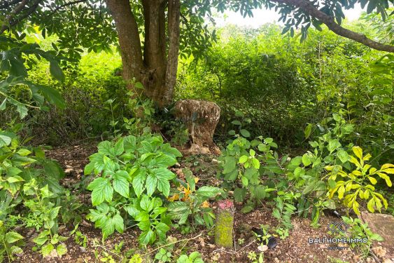 Image 3 from Touristic Land for Sale Freehold with Ocean View in Ungasan