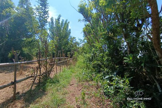 Image 5 from TANAH WISATA DIJUAL SEWA DI ULUWATU DEKAT PANTAI KARMA