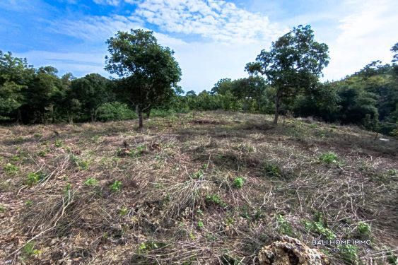 Image 10 from TANAH WISATA DIJUAL SEWA DI ULUWATU