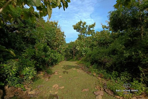 Image 12 from TANAH WISATA DIJUAL SEWA DI ULUWATU