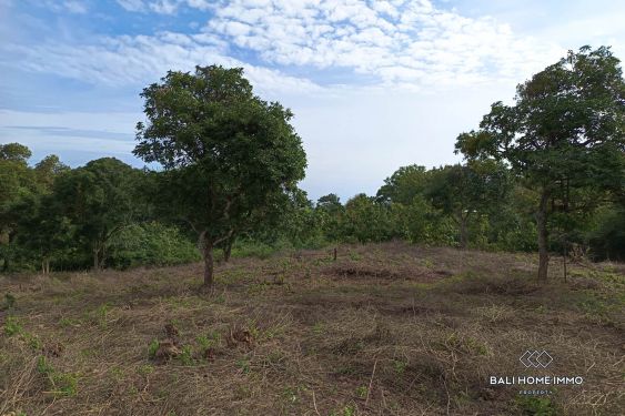 Image 8 from TANAH WISATA DIJUAL SEWA DI ULUWATU