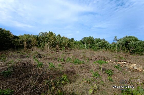 Image 4 from TANAH WISATA DIJUAL SEWA DI ULUWATU