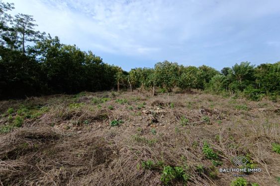 Image 7 from TANAH WISATA DIJUAL SEWA DI ULUWATU