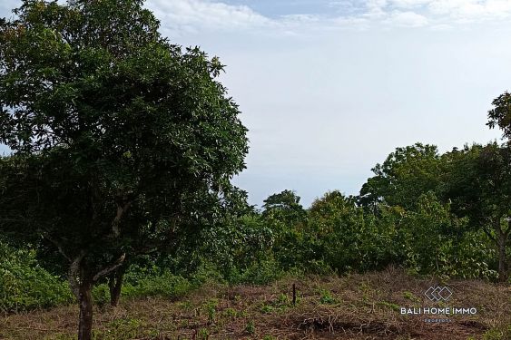 Image 9 from TANAH WISATA DIJUAL SEWA DI ULUWATU
