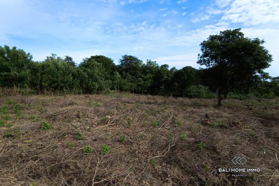 Image 6 from TANAH WISATA DIJUAL SEWA DI ULUWATU