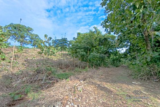 Image 5 from TANAH WISATA DIJUAL SEWA DI ULUWATU