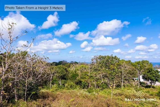 Image 3 from Touristic Land for Sale Leasehold with Stunning Ocean View in Uluwatu