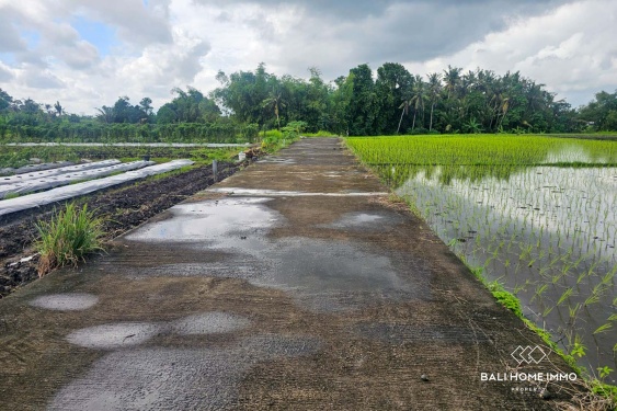 Image 6 from Touristic Zone 5 Are Land for Sale Freehold in Kedungu Bali