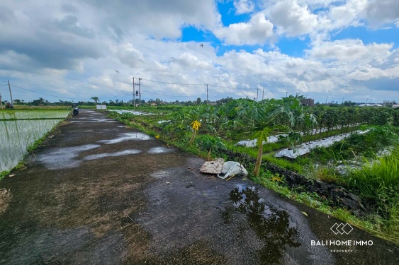 Image 4 from Touristic Zone 5 Are Land for Sale Freehold in Kedungu Bali