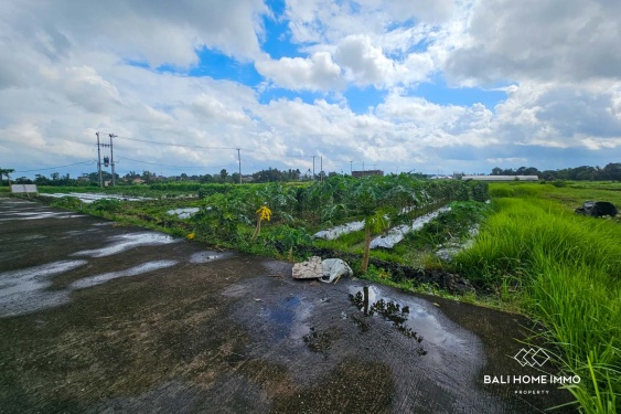 Image 5 from Touristic Zone 5 Are Land for Sale Freehold in Kedungu Bali