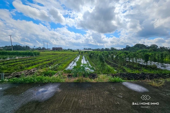 Image 2 from Touristic Zone 5 Are Land for Sale Freehold in Kedungu Bali