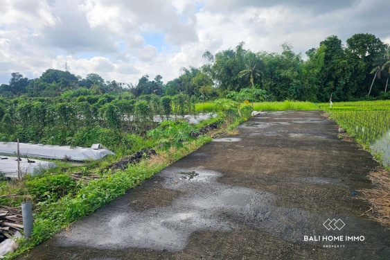 Image 7 from Touristic Zone 5 Are Land for Sale Freehold in Kedungu Bali