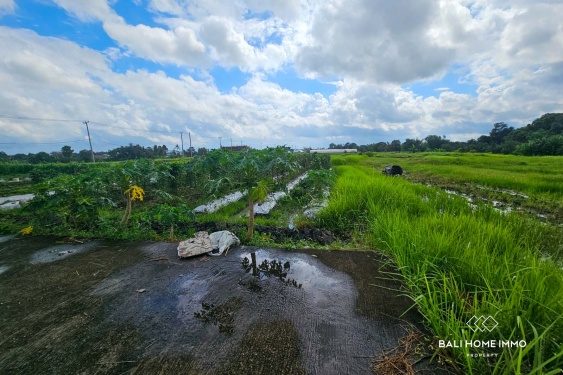 Image 3 from Touristic Zone 5 Are Land for Sale Freehold in Kedungu Bali